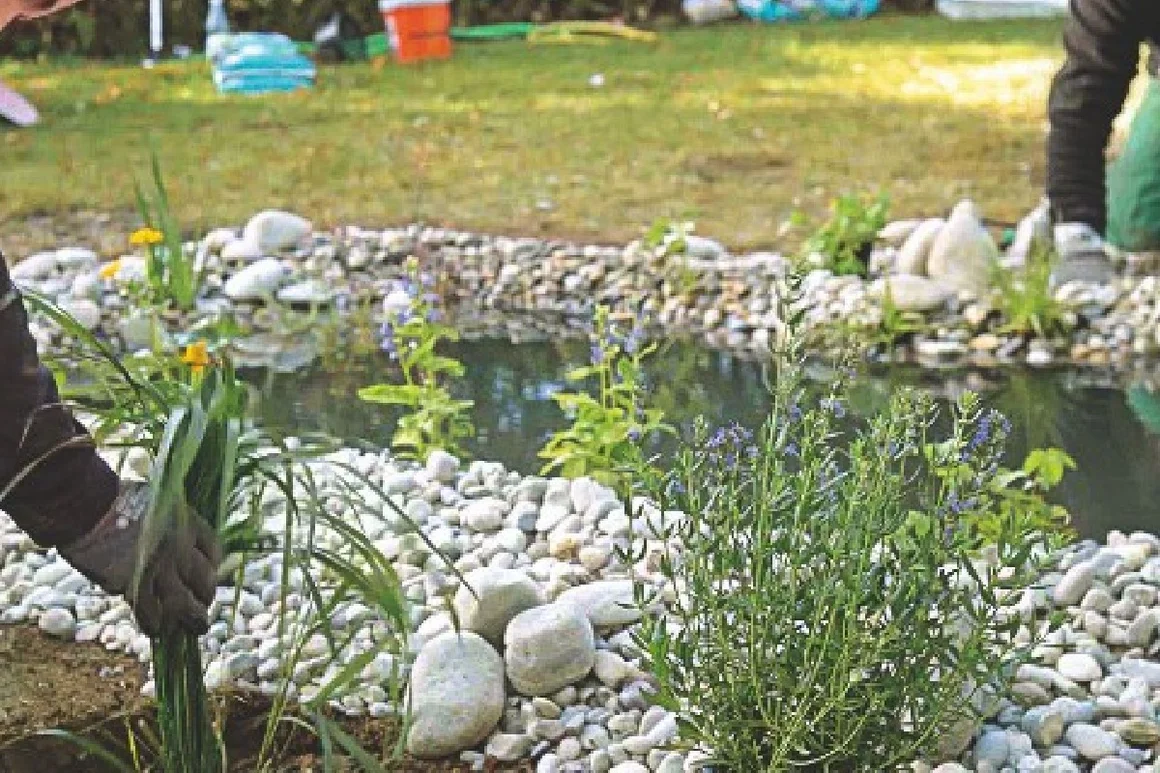 Person bepflanzt einen Gartenteich